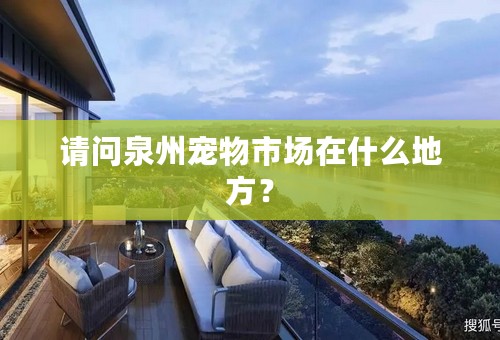 请问泉州宠物市场在什么地方？