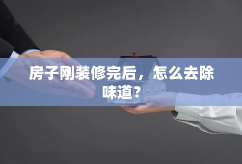 房子刚装修完后，怎么去除味道？