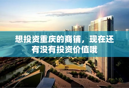 想投资重庆的商铺，现在还有没有投资价值哦