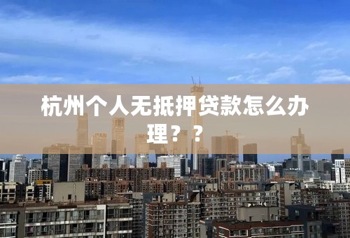 杭州个人无抵押贷款怎么办理？？