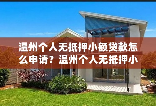 温州个人无抵押小额贷款怎么申请？温州个人无抵押小额贷款申请流程是？