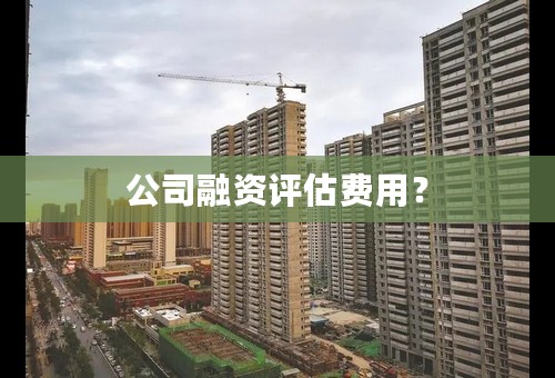 公司融资评估费用？