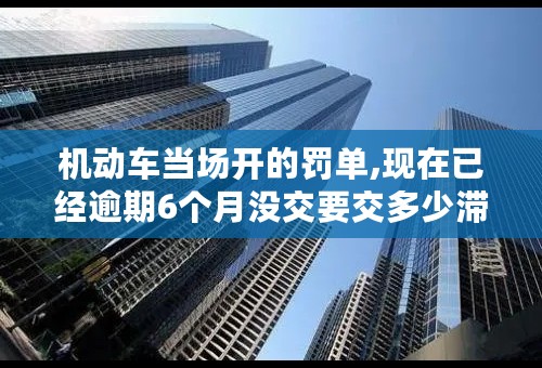 机动车当场开的罚单,现在已经逾期6个月没交要交多少滞纳金会��