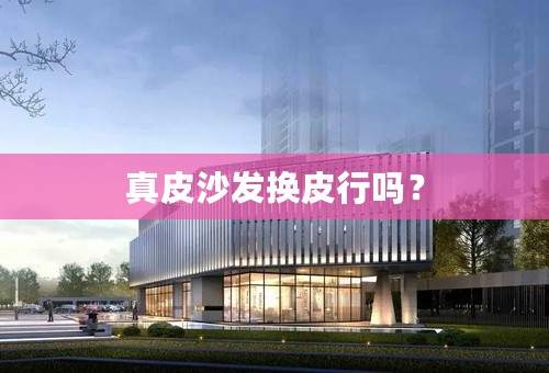 真皮沙发换皮行吗？