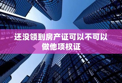 还没领到房产证可以不可以做他项权证