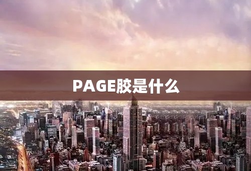 PAGE胶是什么