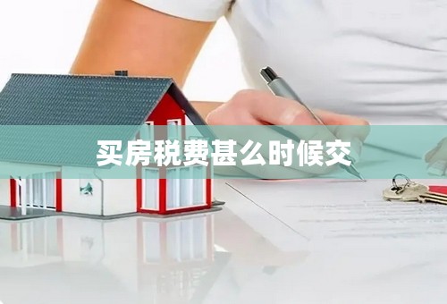 买房税费甚么时候交