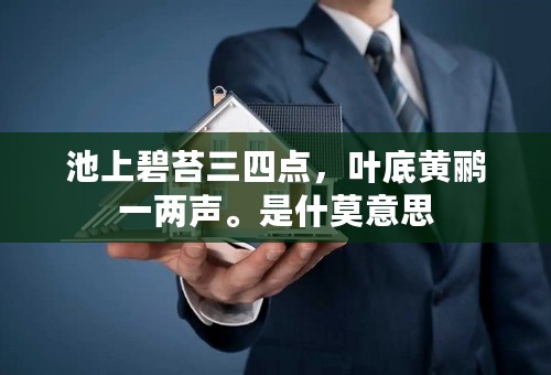 池上碧苔三四点，叶底黄鹂一两声。是什莫意思