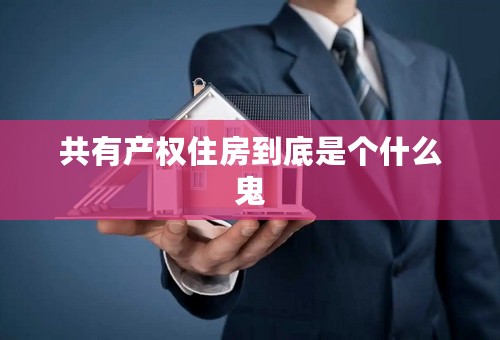 共有产权住房到底是个什么鬼