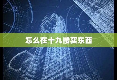 怎么在十九楼买东西