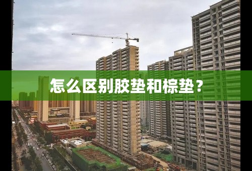 怎么区别胶垫和棕垫？