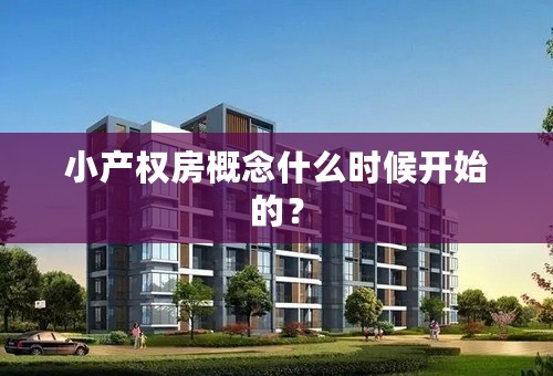 小产权房概念什么时候开始的？
