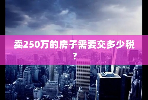 卖250万的房子需要交多少税？