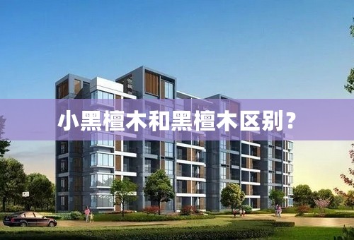 小黑檀木和黑檀木区别？
