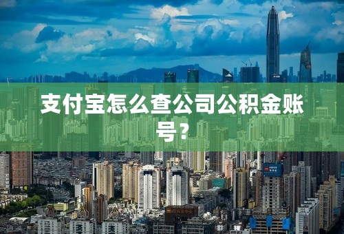 支付宝怎么查公司公积金账号？