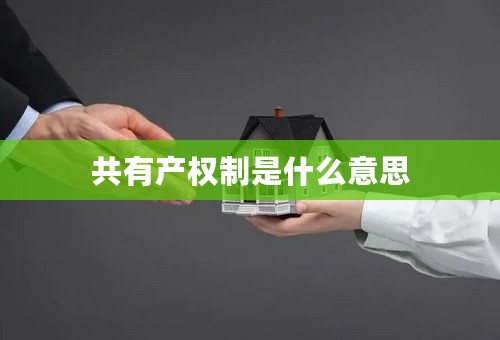 共有产权制是什么意思