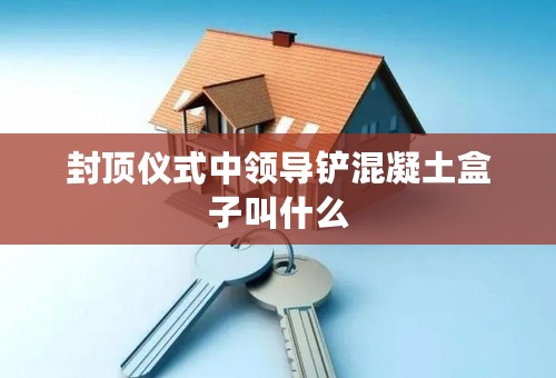 封顶仪式中领导铲混凝土盒子叫什么
