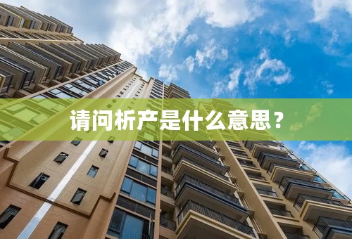 请问析产是什么意思？