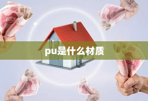 pu是什么材质