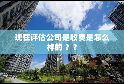 现在评估公司是收费是怎么样的 ？？