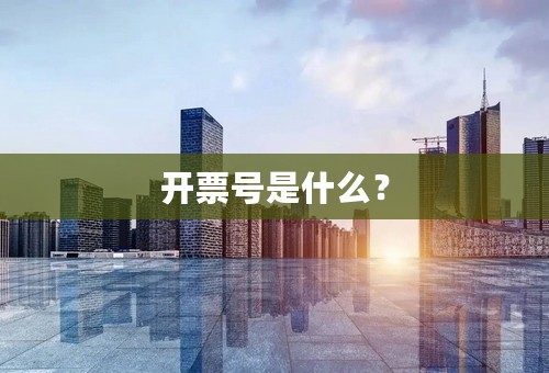 开票号是什么？