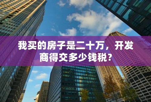 我买的房子是二十万，开发商得交多少钱税？