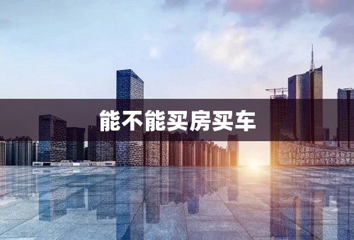 能不能买房买车
