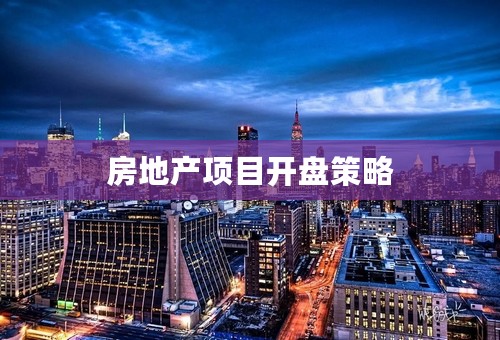 房地产项目开盘策略