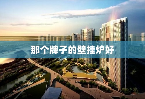 那个牌子的壁挂炉好