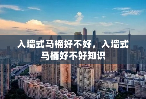 入墙式马桶好不好，入墙式马桶好不好知识