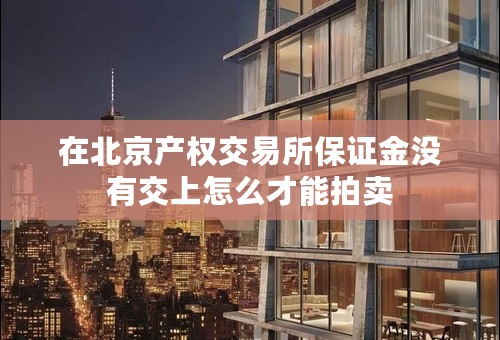在北京产权交易所保证金没有交上怎么才能拍卖