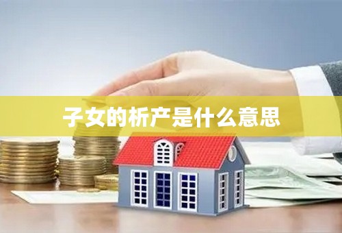 子女的析产是什么意思