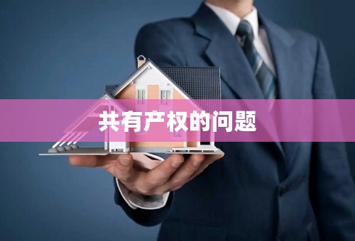 共有产权的问题