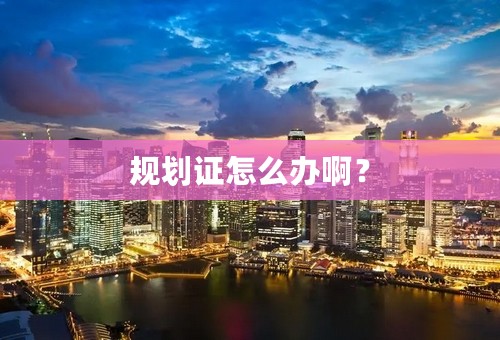 规划证怎么办啊？