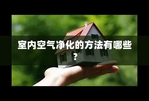 室内空气净化的方法有哪些？