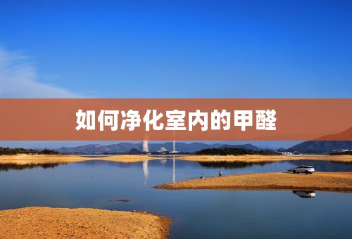 如何净化室内的甲醛