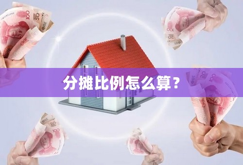 分摊比例怎么算？