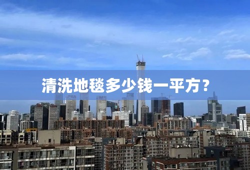 清洗地毯多少钱一平方？