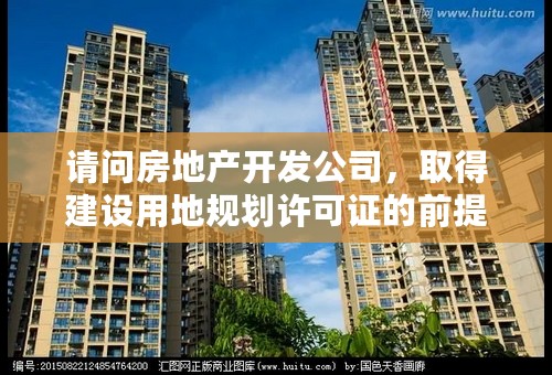 请问房地产开发公司，取得建设用地规划许可证的前提条件是哪些？请有关业内人士详答，谢谢