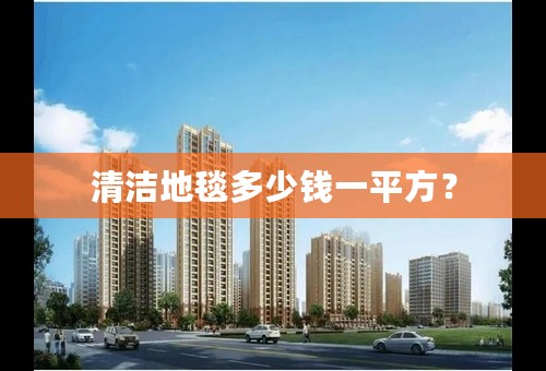 清洁地毯多少钱一平方？