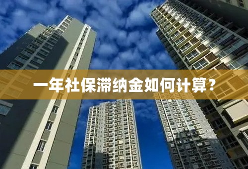 一年社保滞纳金如何计算？