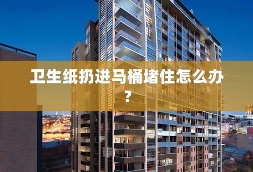 卫生纸扔进马桶堵住怎么办？