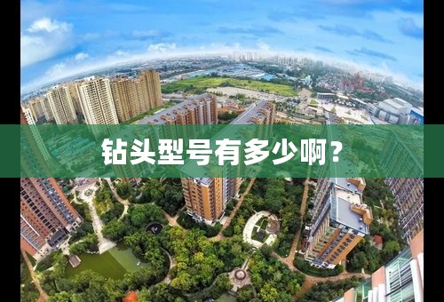 钻头型号有多少啊？