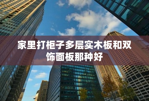 家里打柜子多层实木板和双饰面板那种好