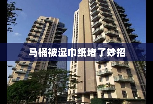 马桶被湿巾纸堵了妙招