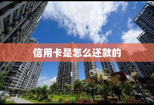 信用卡是怎么还款的