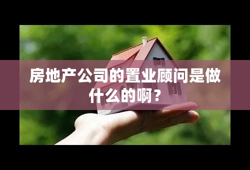 房地产公司的置业顾问是做什么的啊？