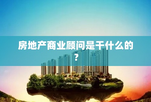 房地产商业顾问是干什么的？