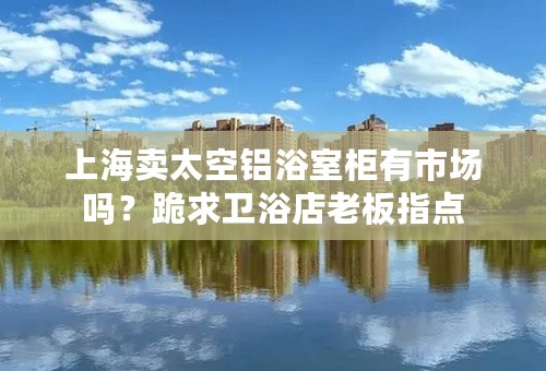 上海卖太空铝浴室柜有市场吗？跪求卫浴店老板指点
