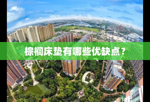 棕榈床垫有哪些优缺点？